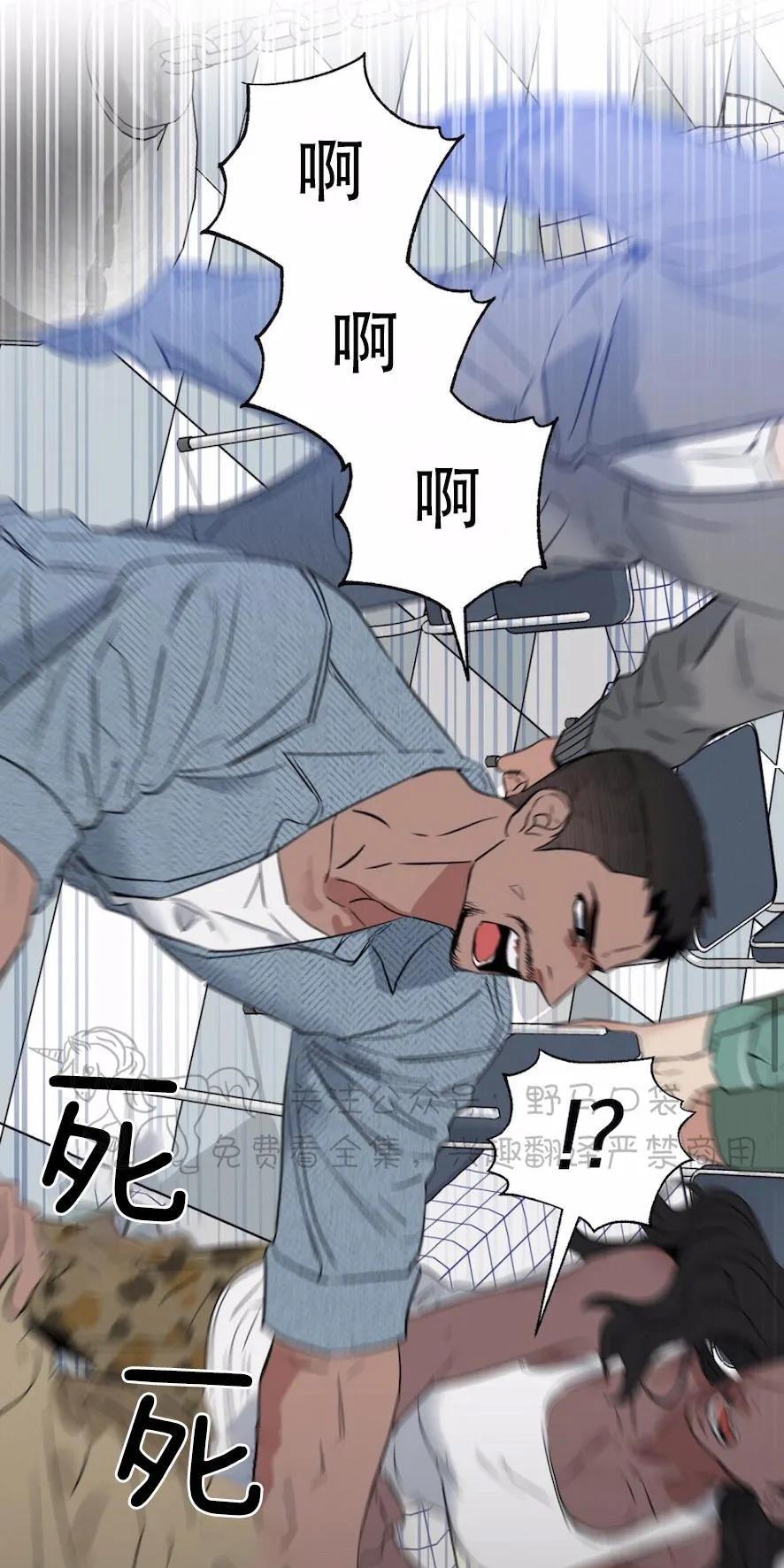 KissMeLiar[耽美]韩漫全集-第36话无删减无遮挡章节图片 
