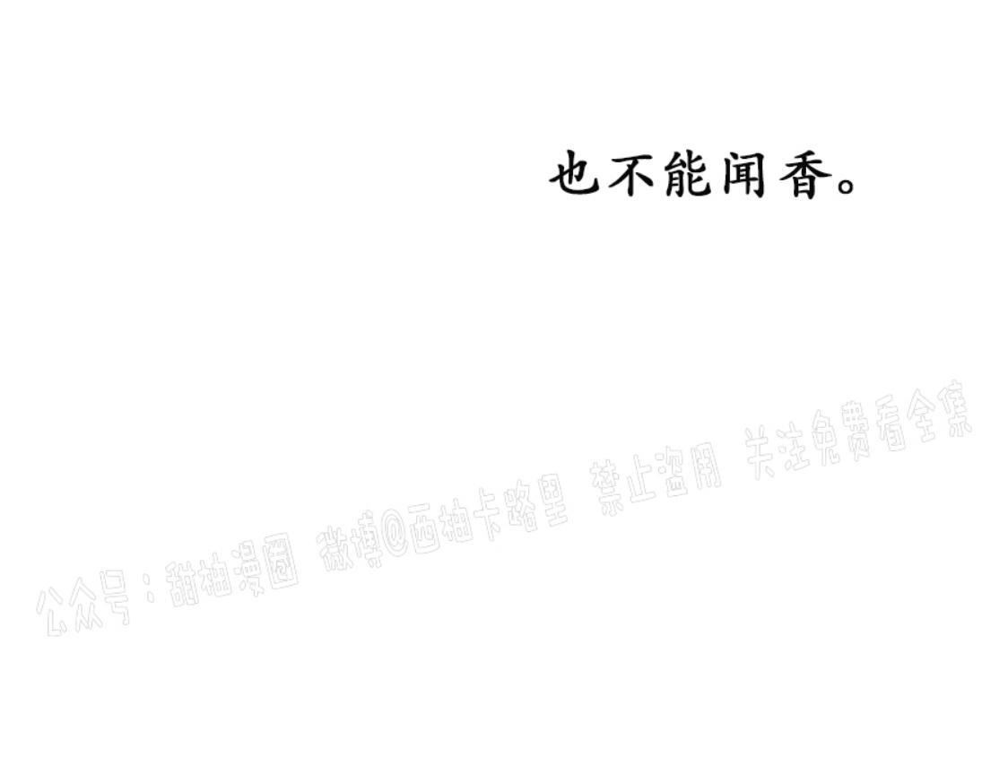 KissMeLiar[耽美]韩漫全集-第37话无删减无遮挡章节图片 