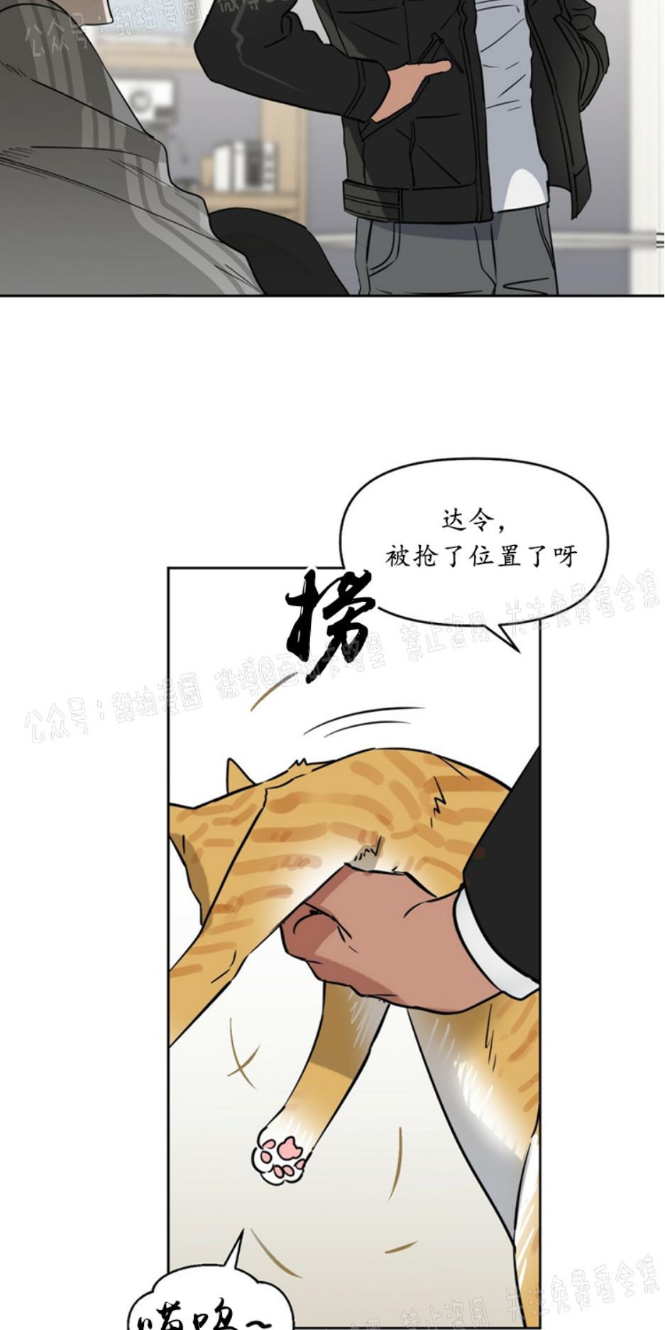 KissMeLiar[耽美]韩漫全集-第38话无删减无遮挡章节图片 