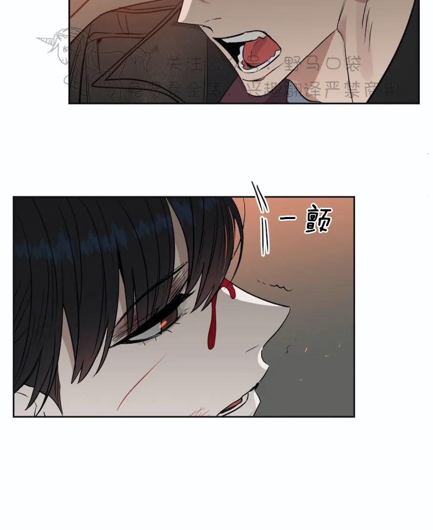 KissMeLiar[耽美]韩漫全集-第43话无删减无遮挡章节图片 