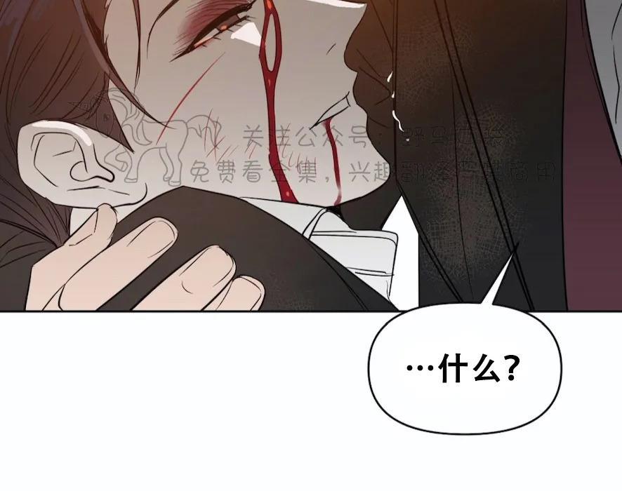 KissMeLiar[耽美]韩漫全集-第43话无删减无遮挡章节图片 