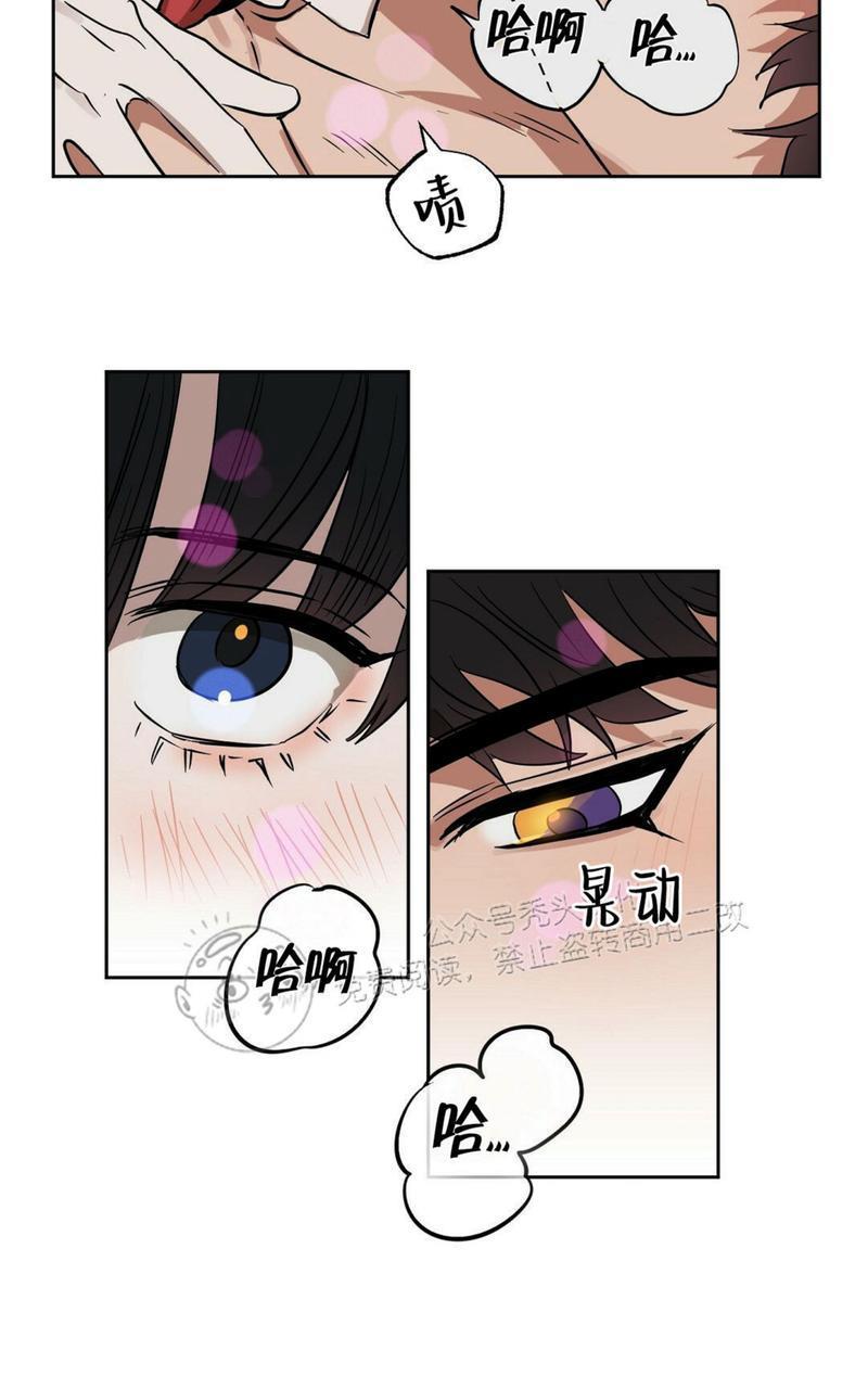 KissMeLiar[耽美]韩漫全集-第46话无删减无遮挡章节图片 