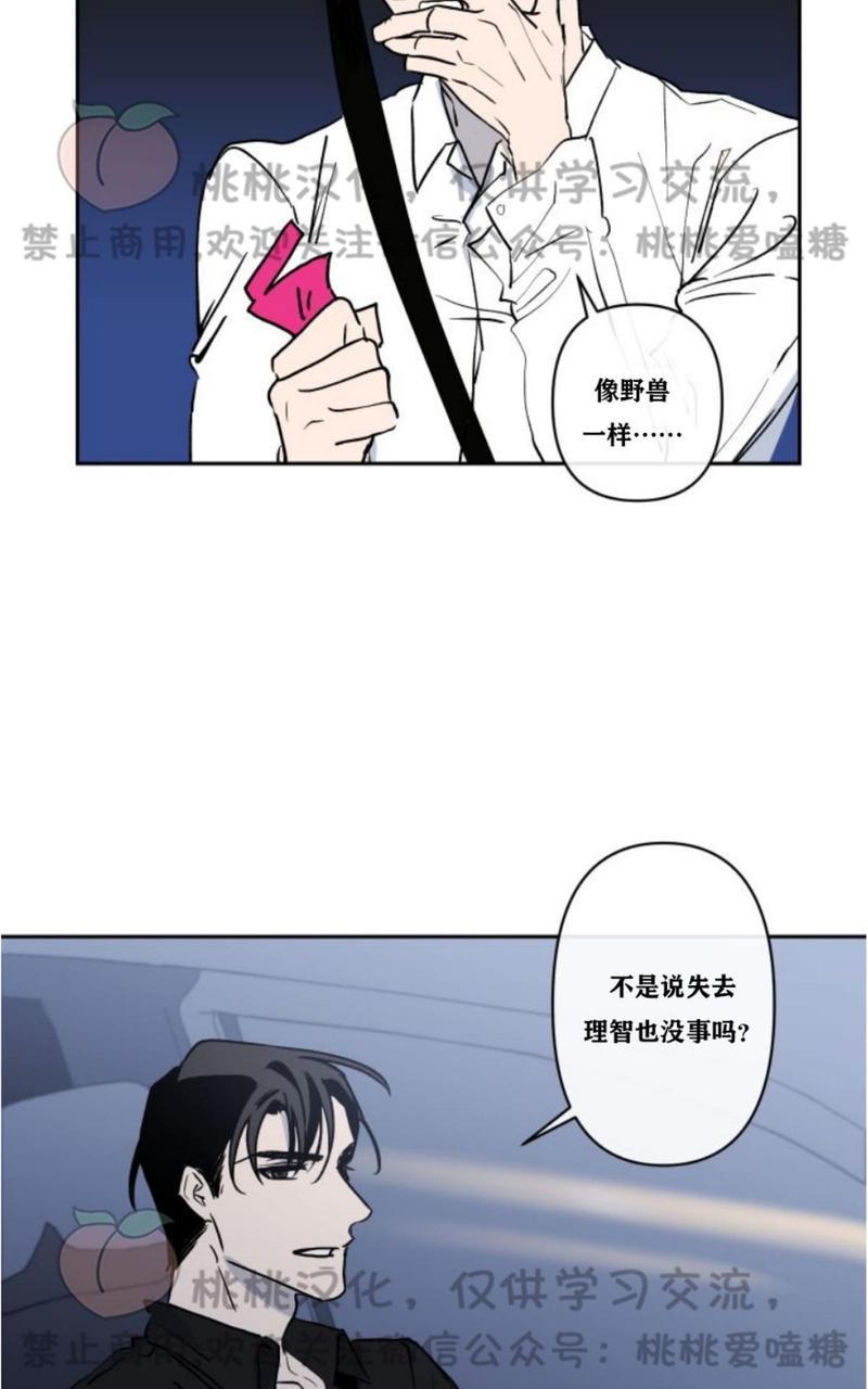 XX搭档[耽美]韩漫全集-第9话无删减无遮挡章节图片 