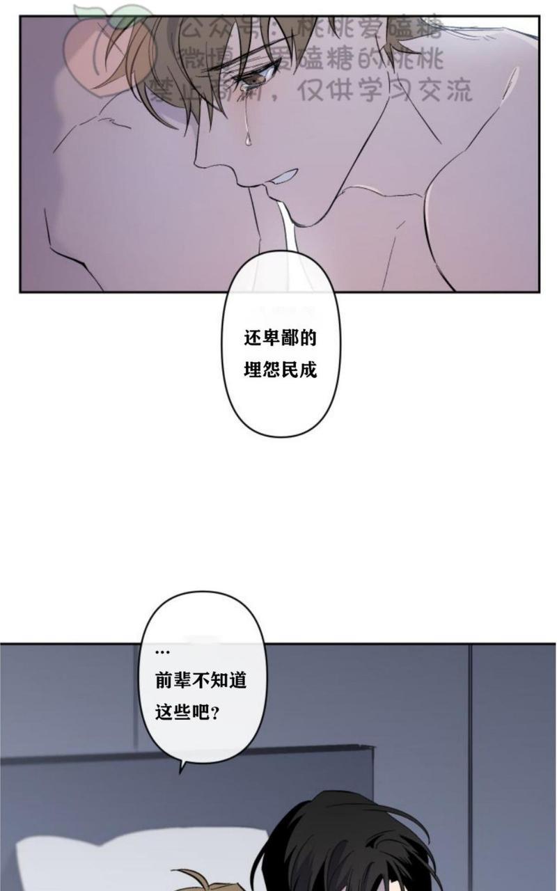 XX搭档[耽美]韩漫全集-第11话无删减无遮挡章节图片 