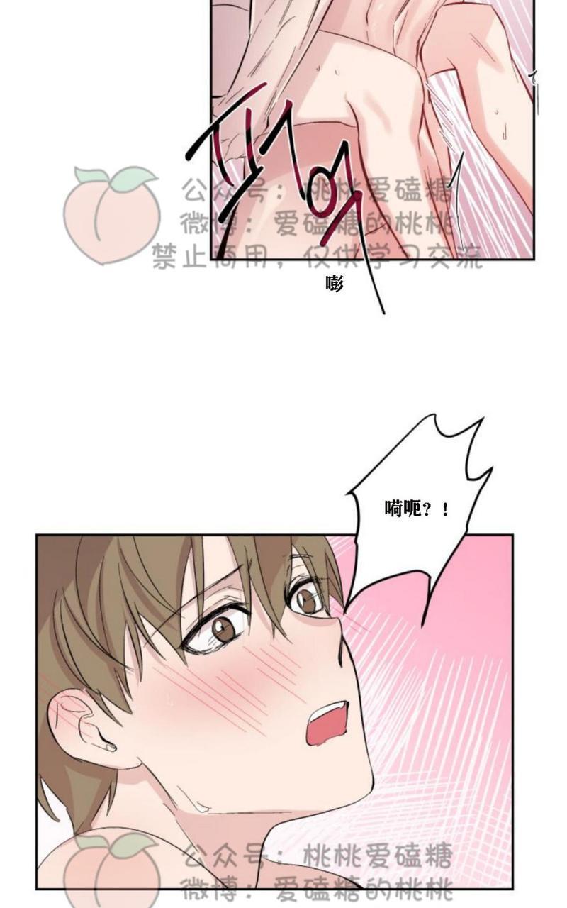 XX搭档[耽美]韩漫全集-第12话无删减无遮挡章节图片 