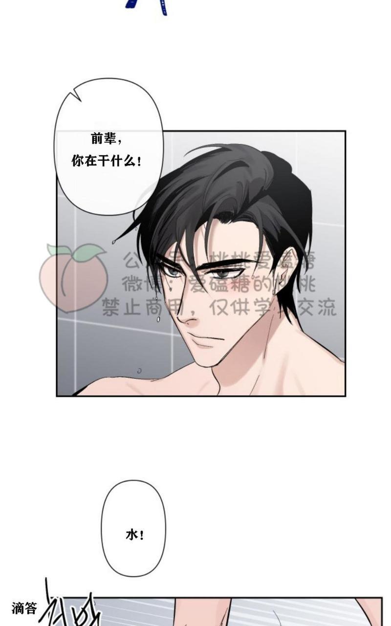 XX搭档[耽美]韩漫全集-第13话无删减无遮挡章节图片 