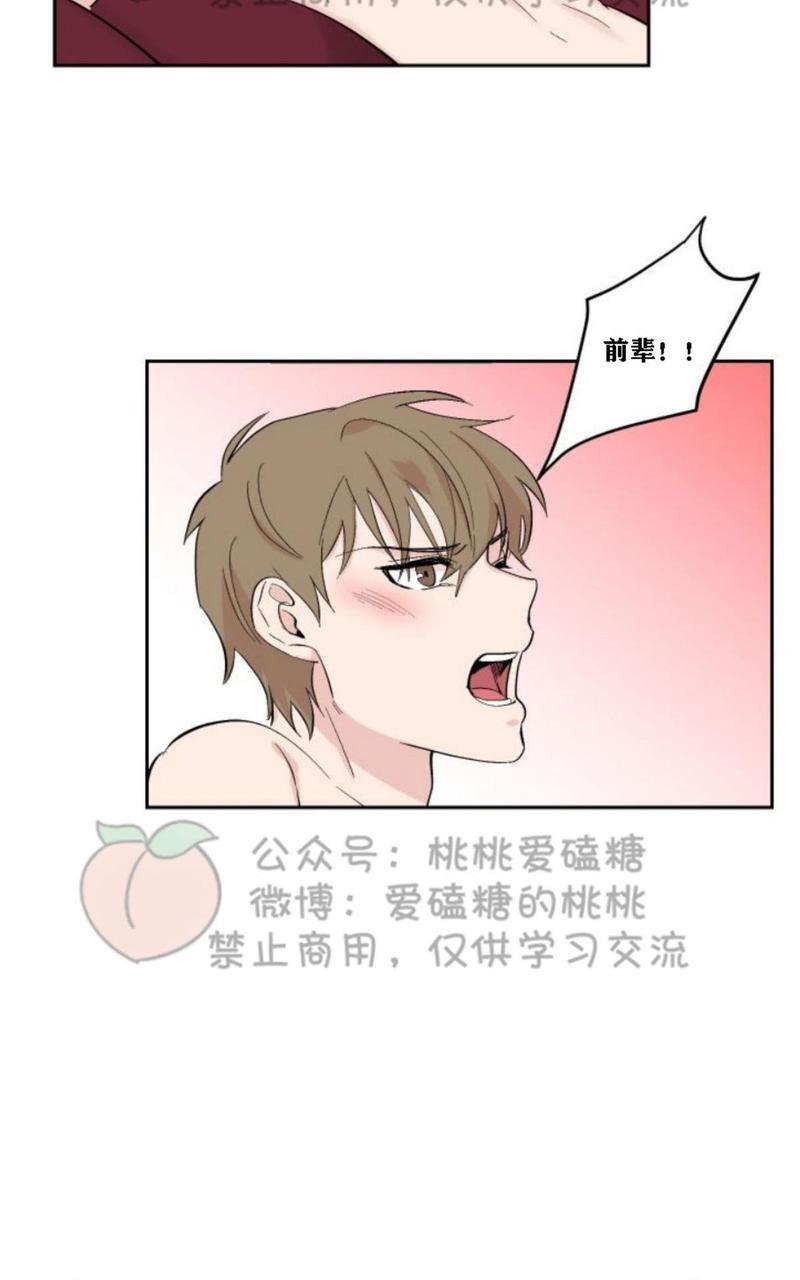 XX搭档[耽美]韩漫全集-第13话无删减无遮挡章节图片 