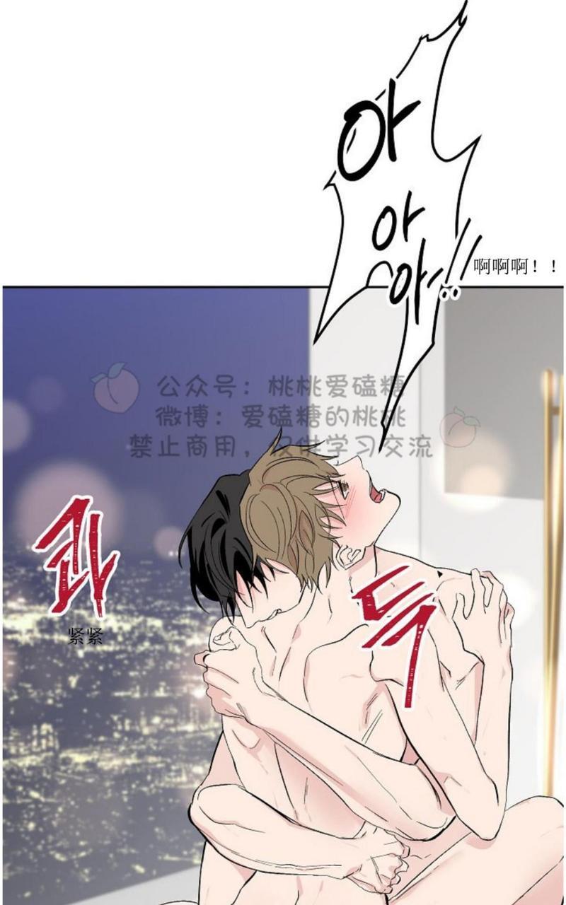 XX搭档[耽美]韩漫全集-第21话完结无删减无遮挡章节图片 