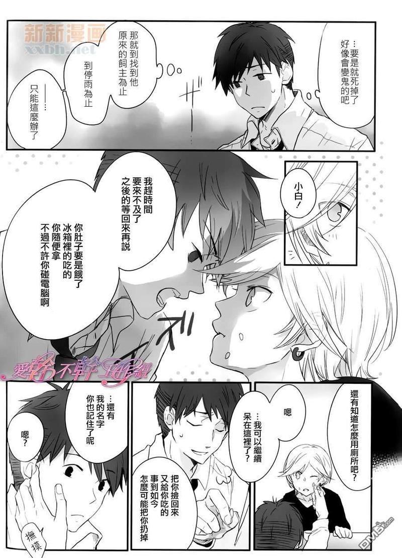 向小猫咪说再见[耽美]韩漫全集-第1话无删减无遮挡章节图片 