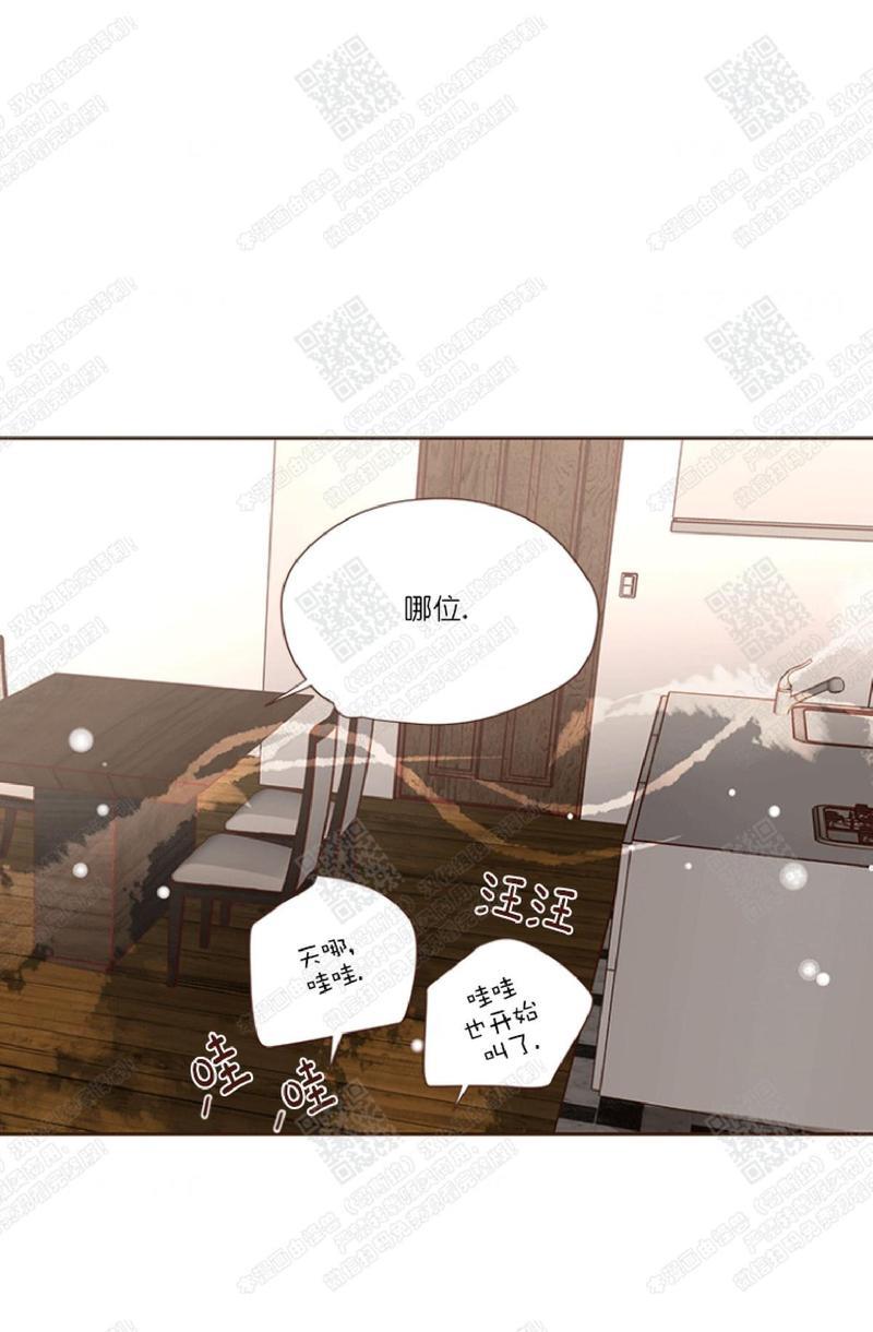 逝水年华[耽美]韩漫全集-第37话无删减无遮挡章节图片 