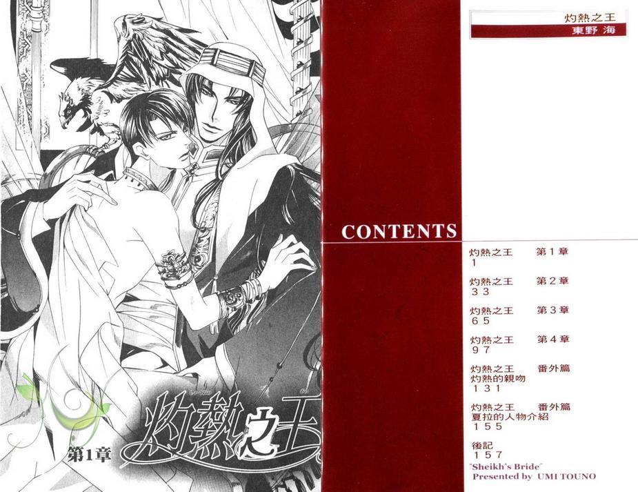 灼热之王[耽美]韩漫全集-第1卷无删减无遮挡章节图片 