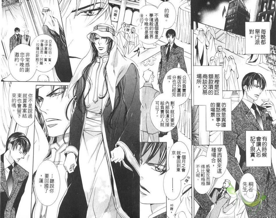 灼热之王[耽美]韩漫全集-第1卷无删减无遮挡章节图片 