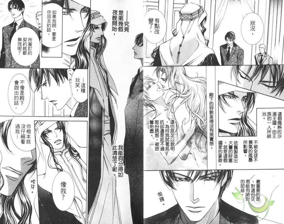 灼热之王[耽美]韩漫全集-第1卷无删减无遮挡章节图片 