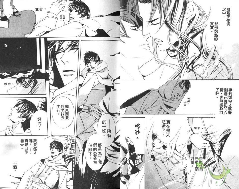 灼热之王[耽美]韩漫全集-第1卷无删减无遮挡章节图片 