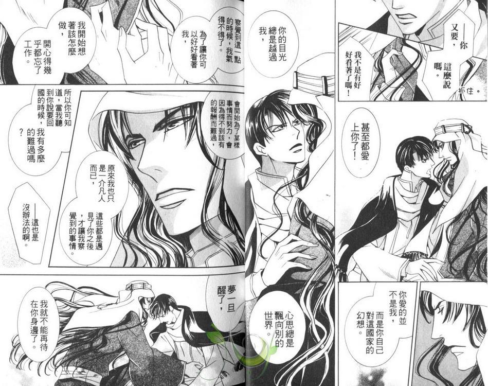 灼热之王[耽美]韩漫全集-第1卷无删减无遮挡章节图片 