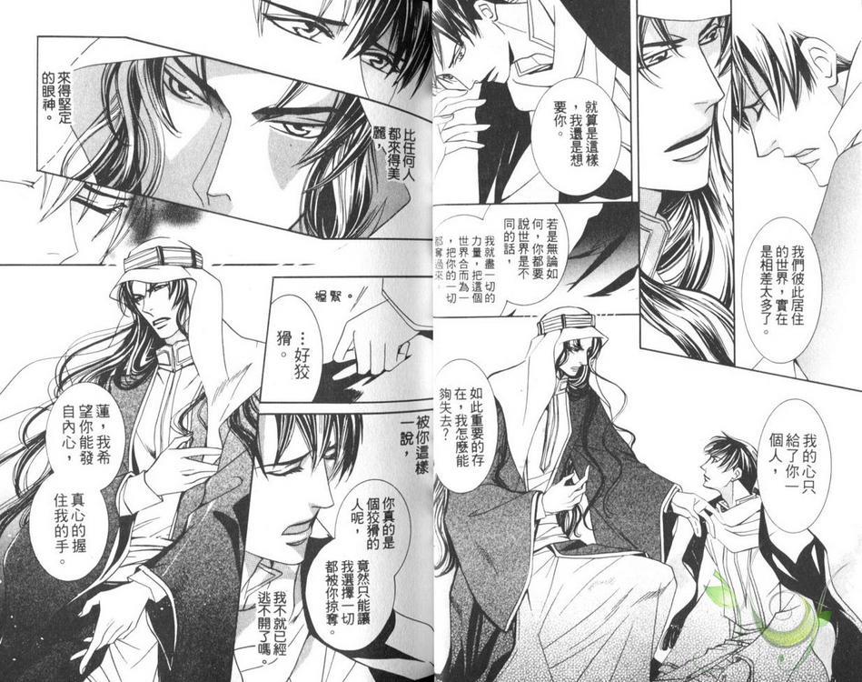 灼热之王[耽美]韩漫全集-第1卷无删减无遮挡章节图片 