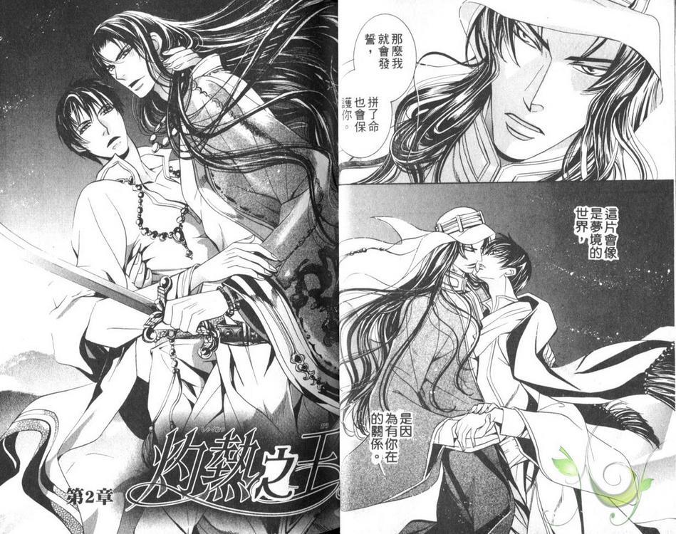 灼热之王[耽美]韩漫全集-第1卷无删减无遮挡章节图片 