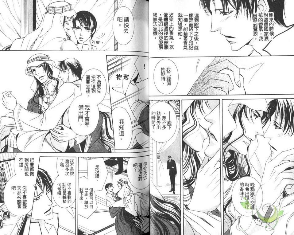 灼热之王[耽美]韩漫全集-第1卷无删减无遮挡章节图片 