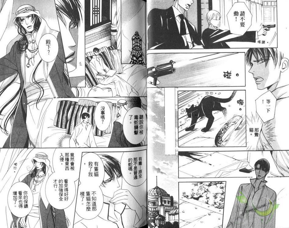 灼热之王[耽美]韩漫全集-第1卷无删减无遮挡章节图片 