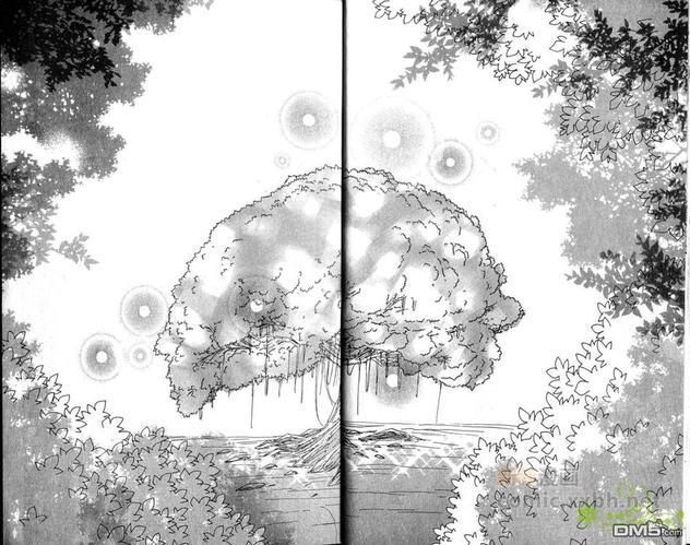 幻羽[耽美]韩漫全集-第8卷无删减无遮挡章节图片 