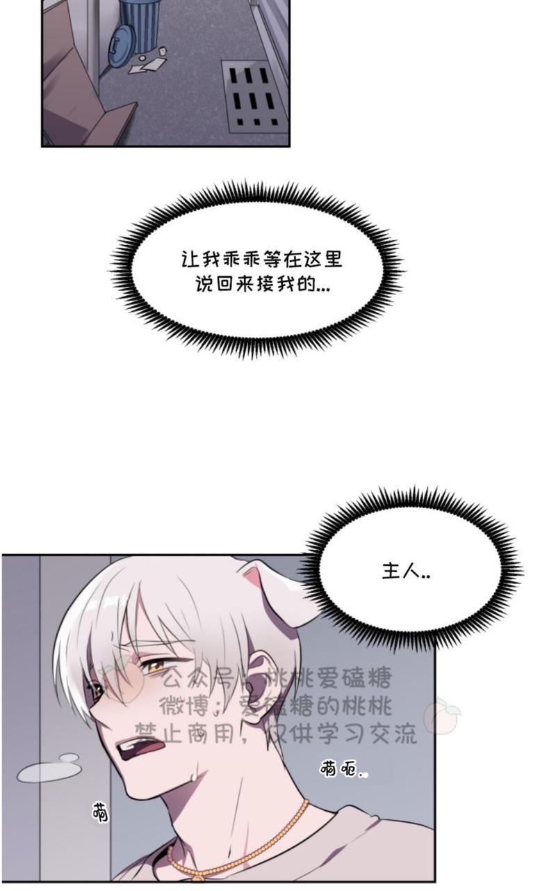 爱的选择[耽美]韩漫全集-第1话无删减无遮挡章节图片 