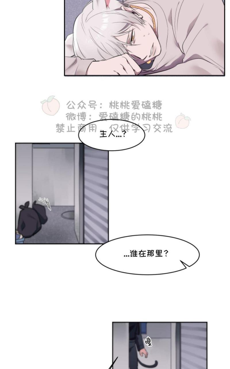 爱的选择[耽美]韩漫全集-第1话无删减无遮挡章节图片 