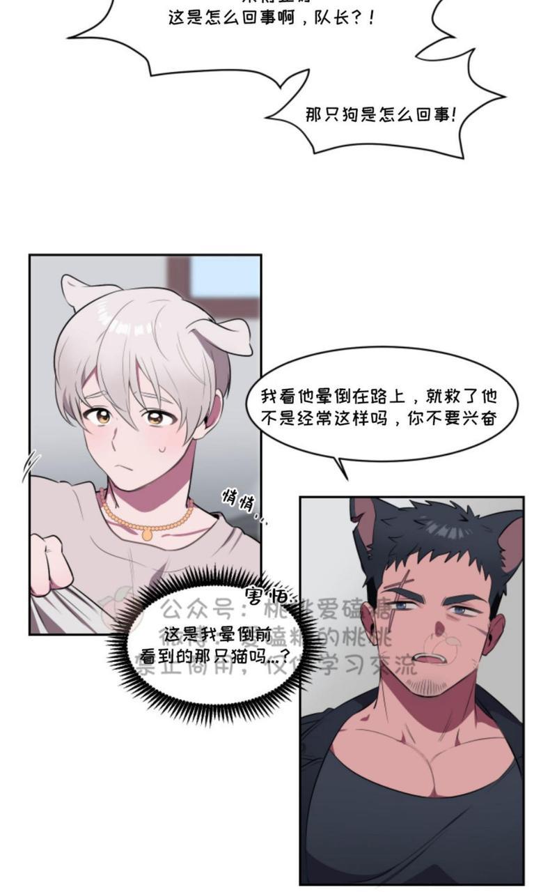 爱的选择[耽美]韩漫全集-第1话无删减无遮挡章节图片 