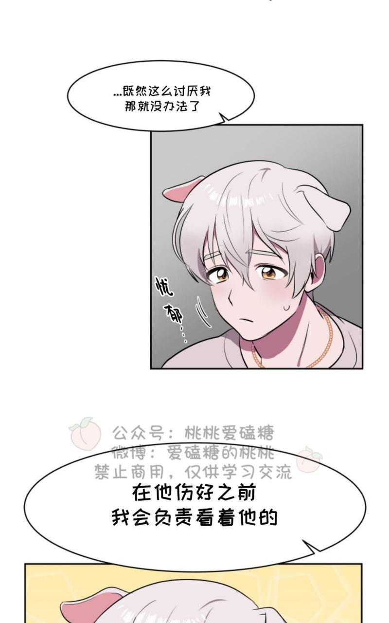 爱的选择[耽美]韩漫全集-第1话无删减无遮挡章节图片 