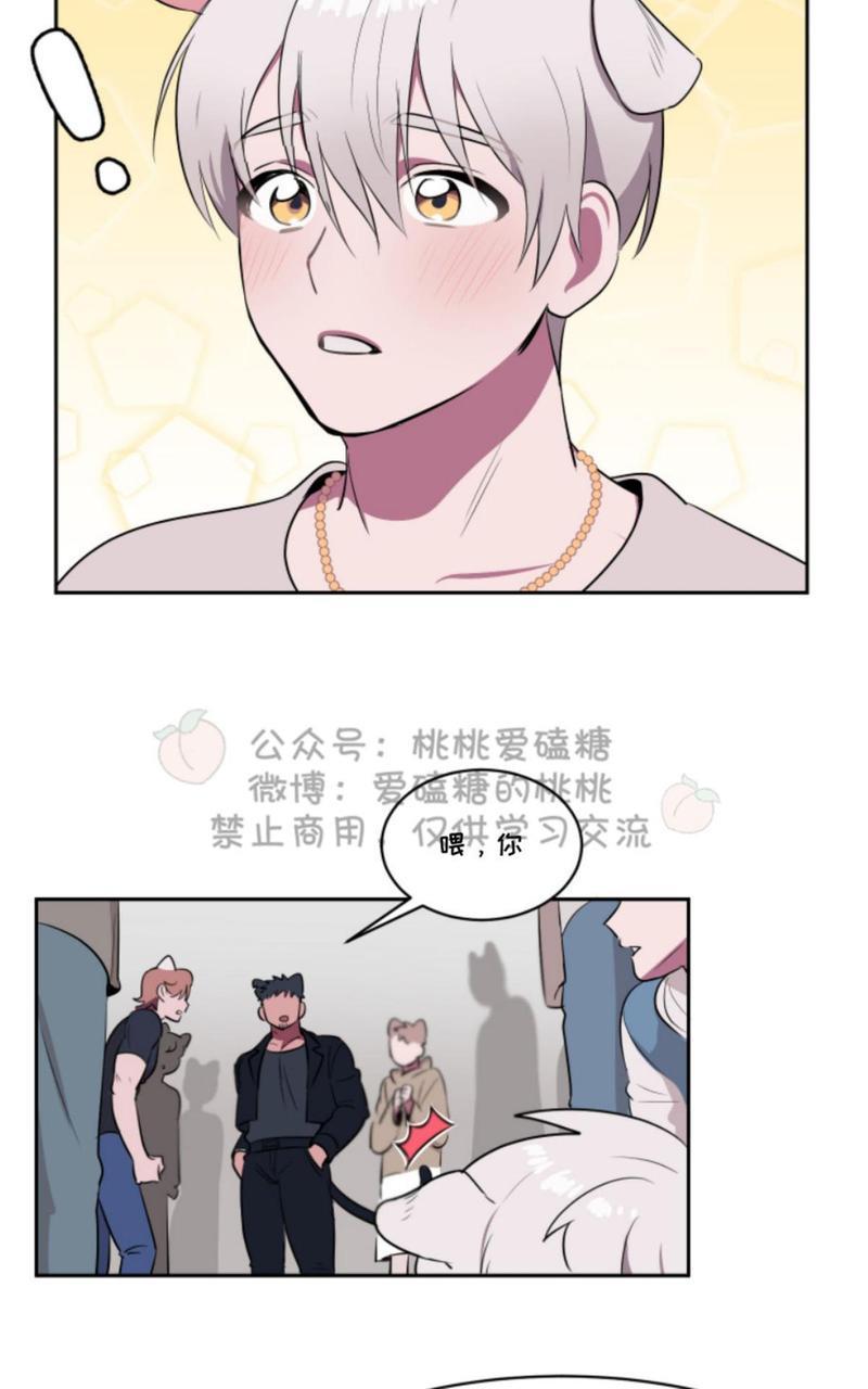 爱的选择[耽美]韩漫全集-第1话无删减无遮挡章节图片 