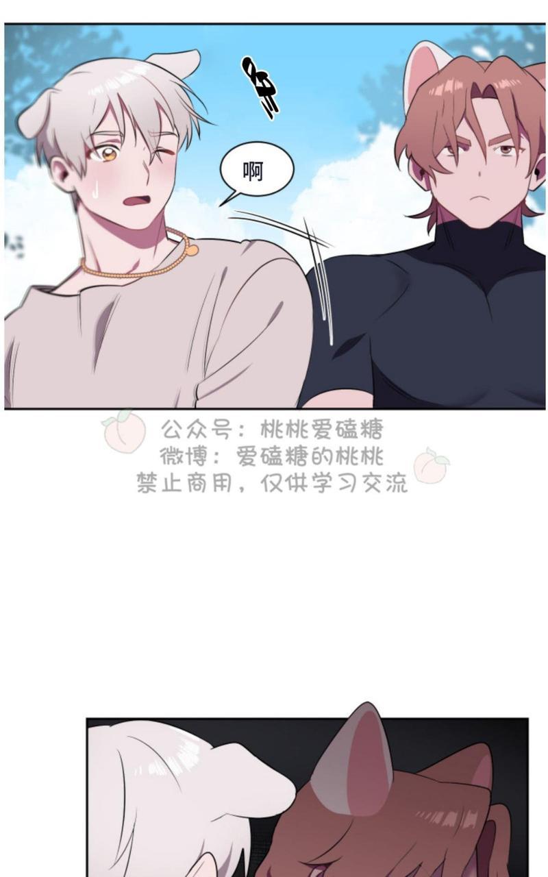 爱的选择[耽美]韩漫全集-第2话无删减无遮挡章节图片 