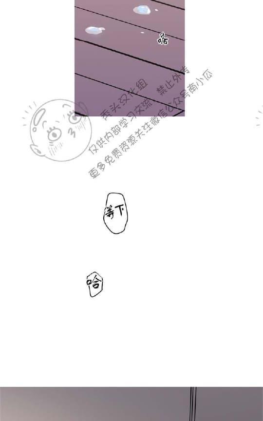 二律背反[耽美]韩漫全集-第17话无删减无遮挡章节图片 