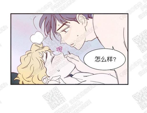 想你，路西法[耽美]韩漫全集-第5话无删减无遮挡章节图片 