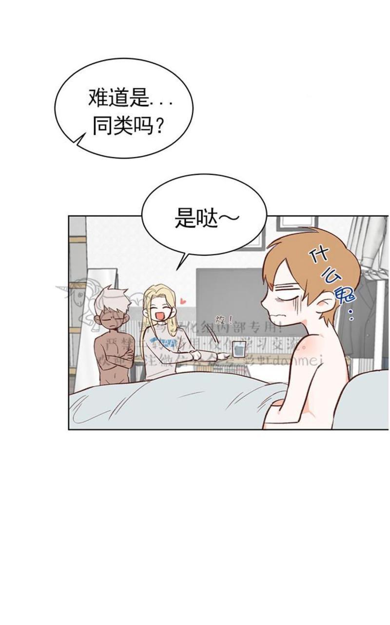 征服地球的蜗牛[耽美]韩漫全集-第4话无删减无遮挡章节图片 