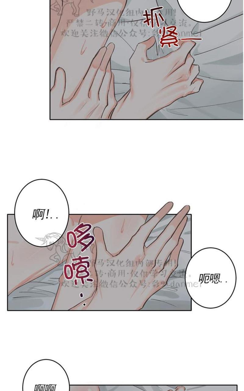 征服地球的蜗牛[耽美]韩漫全集-第3话无删减无遮挡章节图片 
