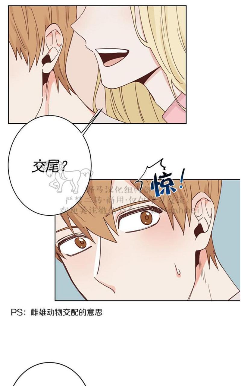 征服地球的蜗牛[耽美]韩漫全集-第3话无删减无遮挡章节图片 