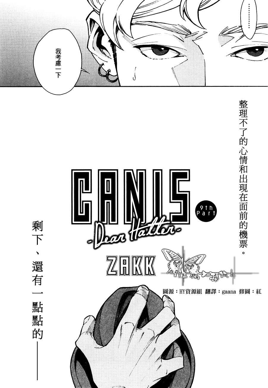 CANISDearHatter[耽美]韩漫全集-第9话无删减无遮挡章节图片 