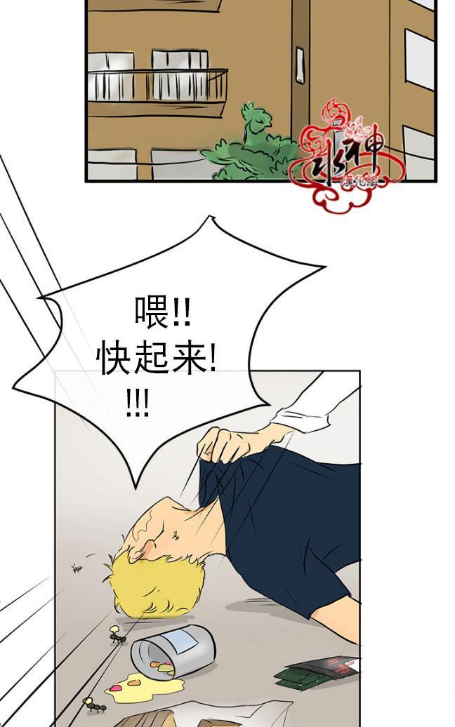 完全蜂蜜味[耽美]韩漫全集-第13话无删减无遮挡章节图片 