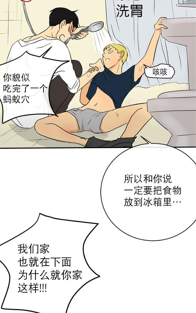完全蜂蜜味[耽美]韩漫全集-第13话无删减无遮挡章节图片 