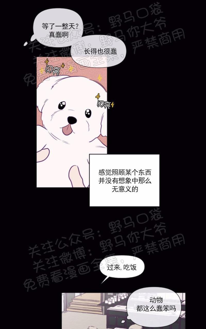 寻景镜头[耽美]韩漫全集-第69话无删减无遮挡章节图片 