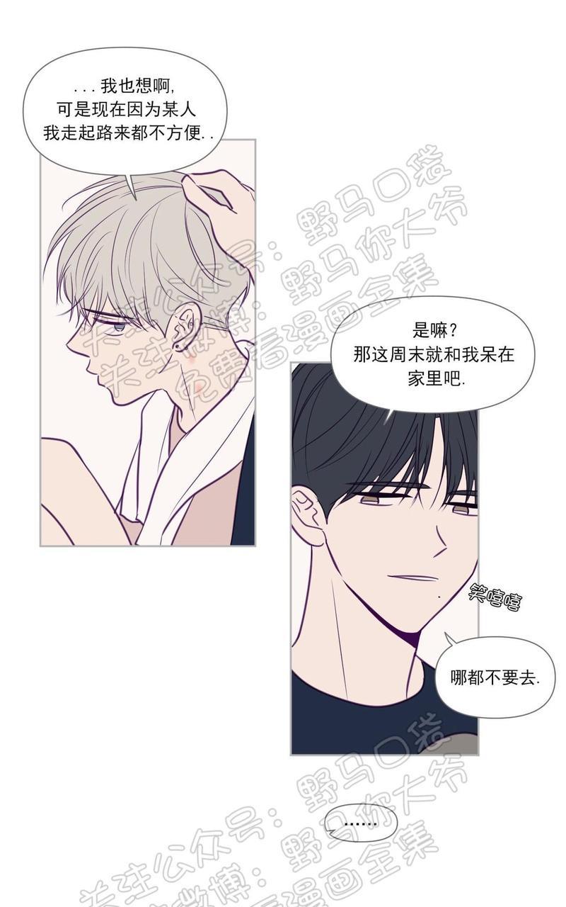 寻景镜头[耽美]韩漫全集-第70话无删减无遮挡章节图片 