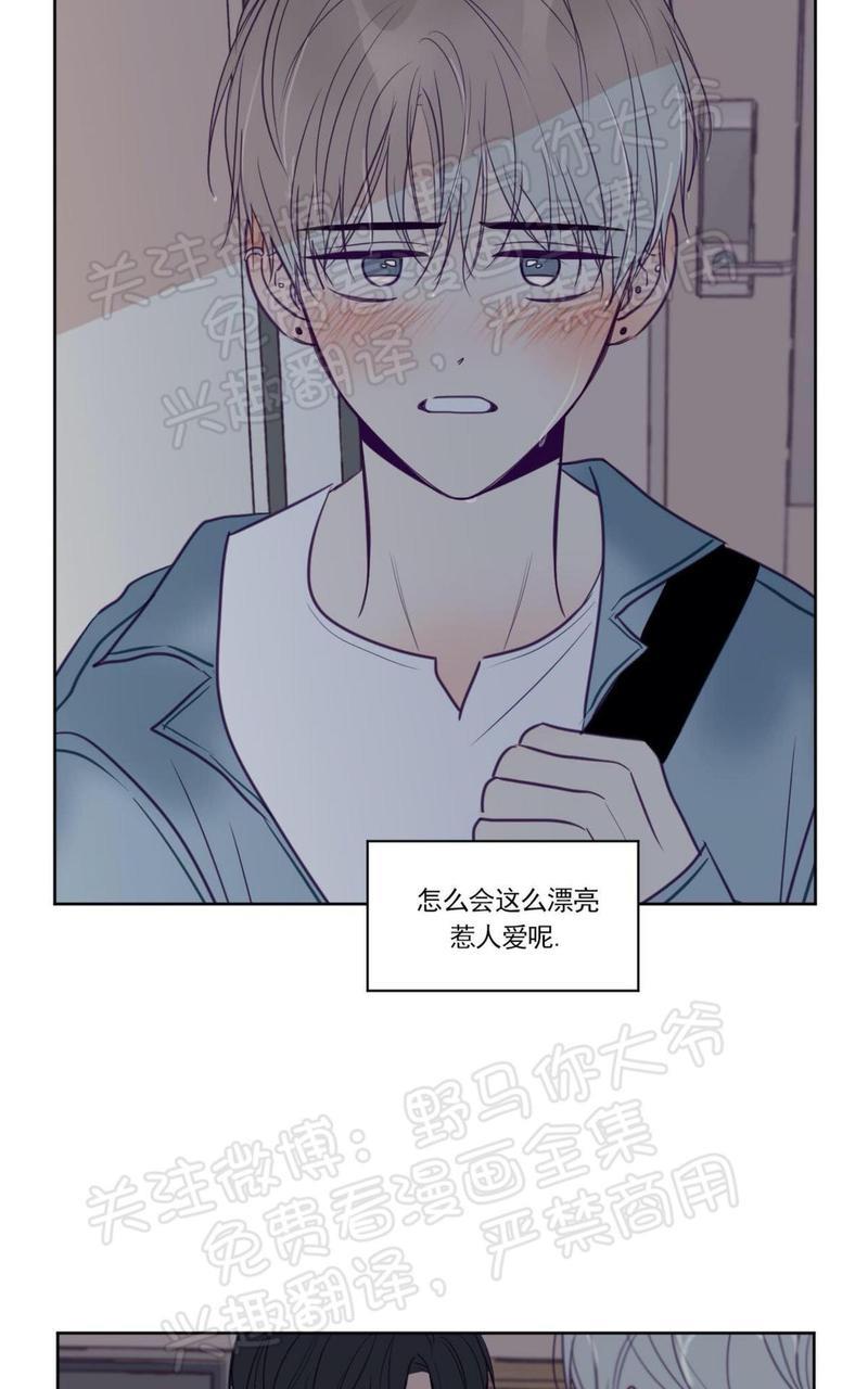 寻景镜头[耽美]韩漫全集-第72话无删减无遮挡章节图片 