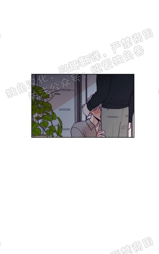 寻景镜头[耽美]韩漫全集-第77话无删减无遮挡章节图片 