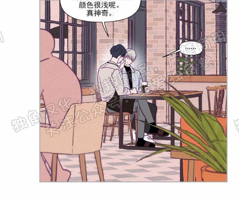 寻景镜头[耽美]韩漫全集-第82话无删减无遮挡章节图片 