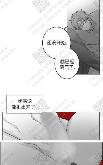 赤色领域[耽美]韩漫全集-第13话无删减无遮挡章节图片 
