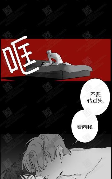 赤色领域[耽美]韩漫全集-第16话无删减无遮挡章节图片 