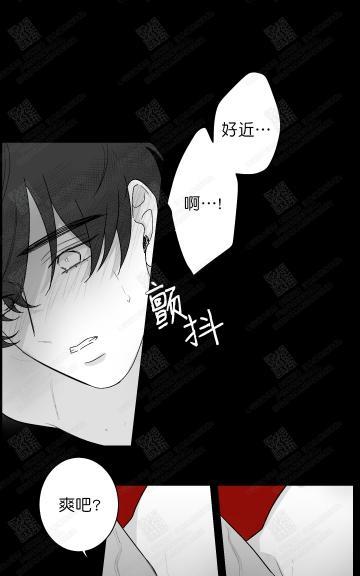 赤色领域[耽美]韩漫全集-第16话无删减无遮挡章节图片 