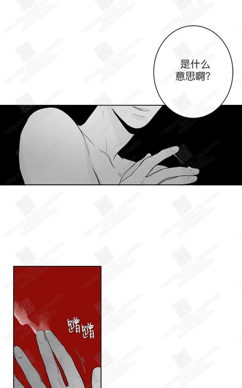 赤色领域[耽美]韩漫全集-第36话无删减无遮挡章节图片 