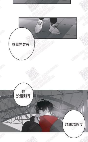 赤色领域[耽美]韩漫全集-第40话无删减无遮挡章节图片 