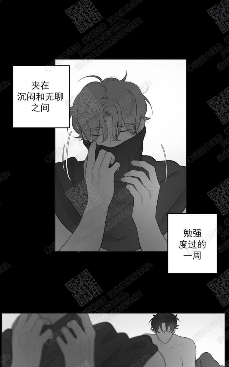 赤色领域[耽美]韩漫全集-第44话无删减无遮挡章节图片 