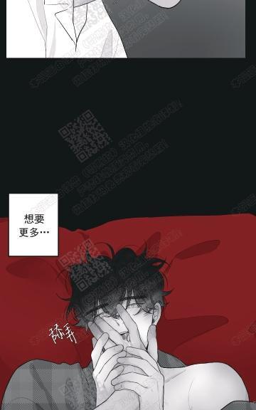 赤色领域[耽美]韩漫全集-第47话无删减无遮挡章节图片 